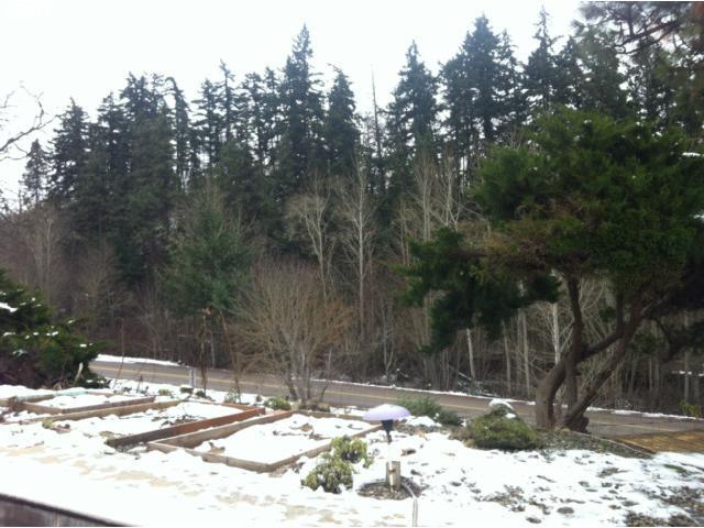 628 Dry Creek Road Mosier, OR 97040 - Photo 11 of 16 Gallery Image 11