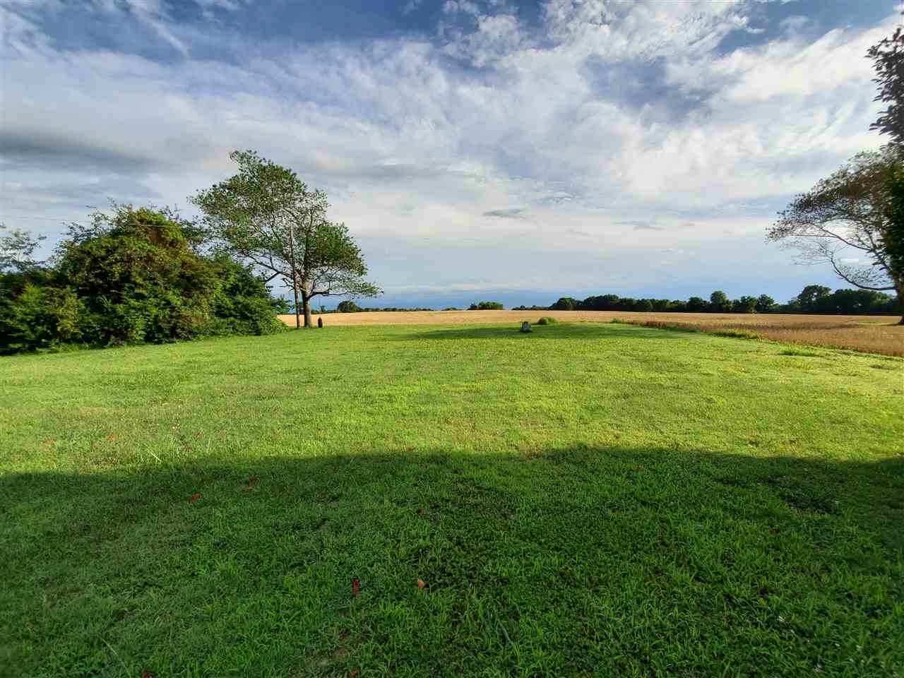 792 Smith Drive Covington, TN 38019 - Photo 16 of 17