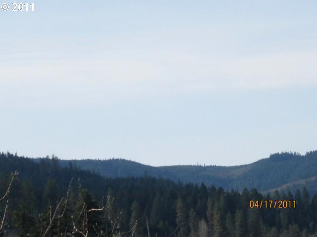 Thomsen Road Hood River, OR 97031 - Photo 7 of 15 Gallery Image 7