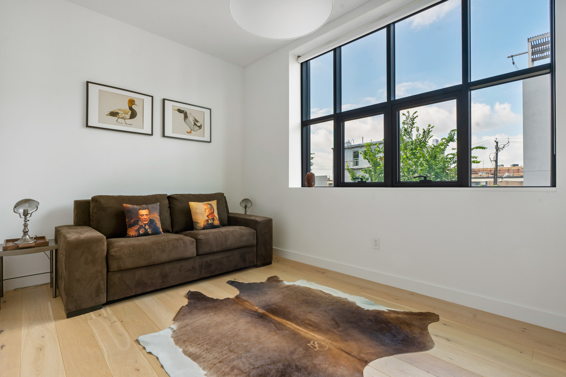 113 A King Street Brooklyn, NY 11231 - Photo 8 of 19