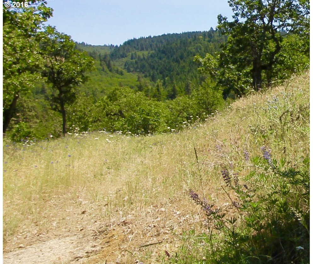 Del Vista Mosier, OR 97040 - Photo 31 of 31 Gallery Image 31