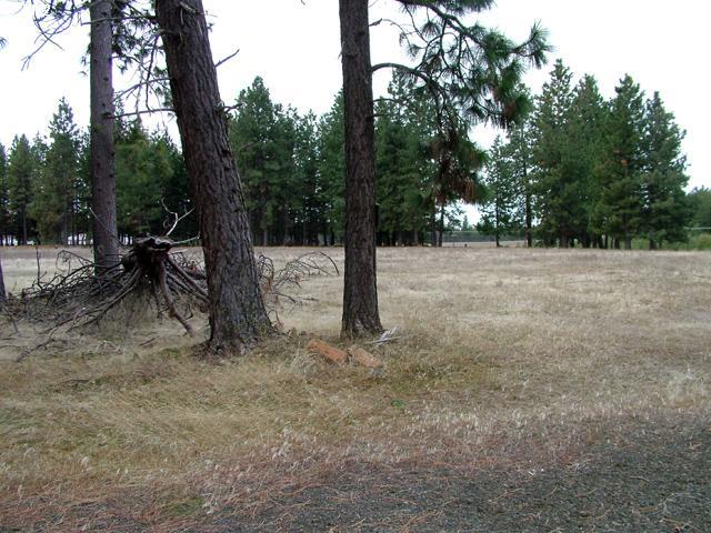 Austin Road Goldendale, WA 98620 - Photo 10 of 15 Gallery Image 10