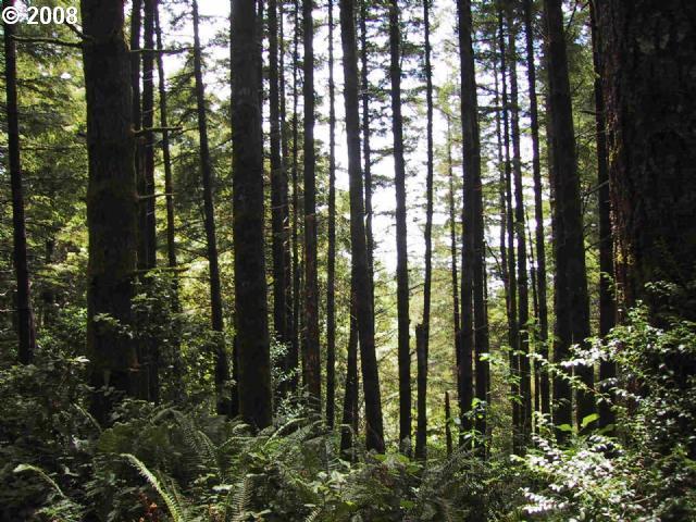 Eggers Road Brookings, OR 97415 - Photo 3 of 3