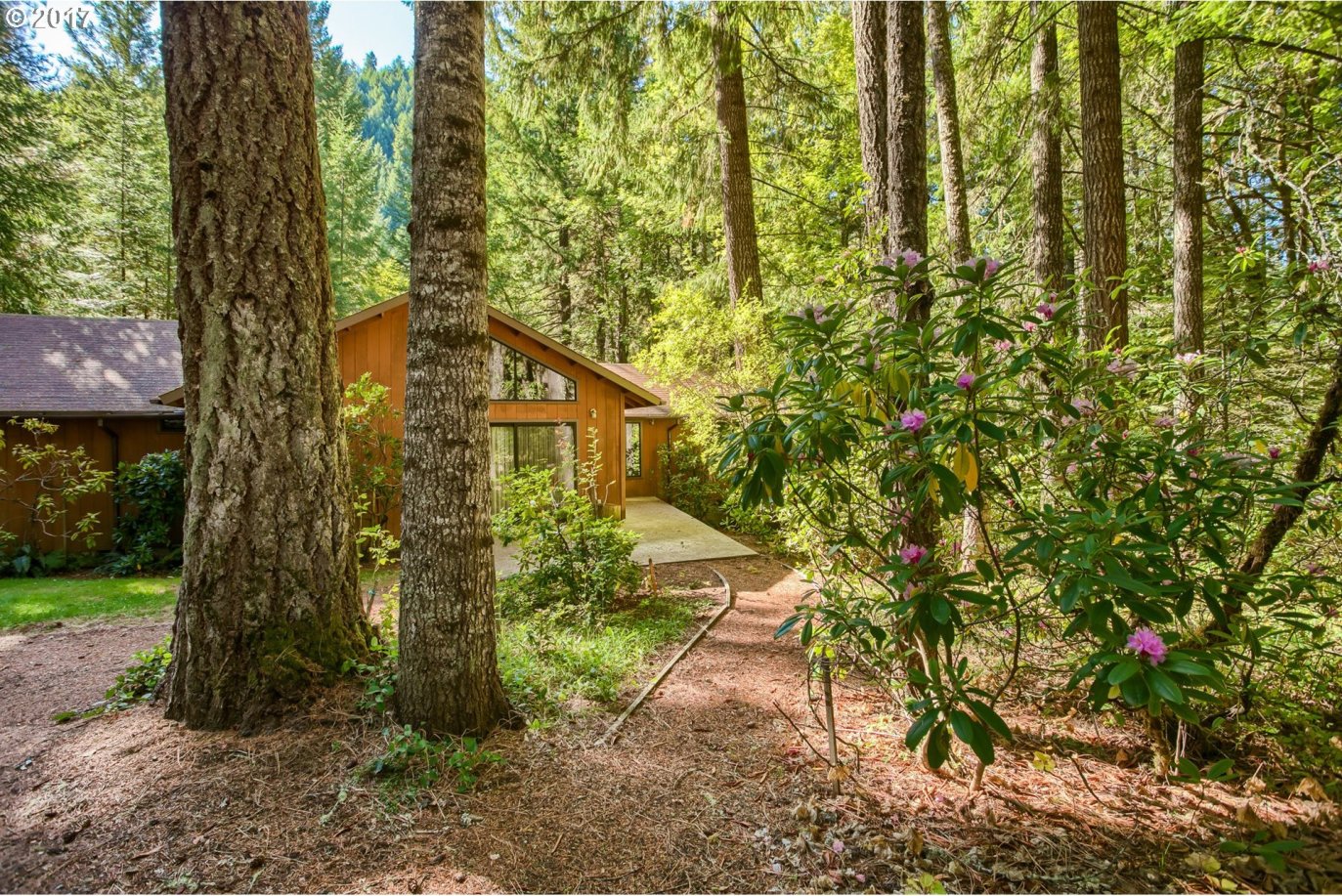 11641 Upper Cow Creek Road Azalea, OR 97410 - Photo 21 of 23 Gallery Image 21