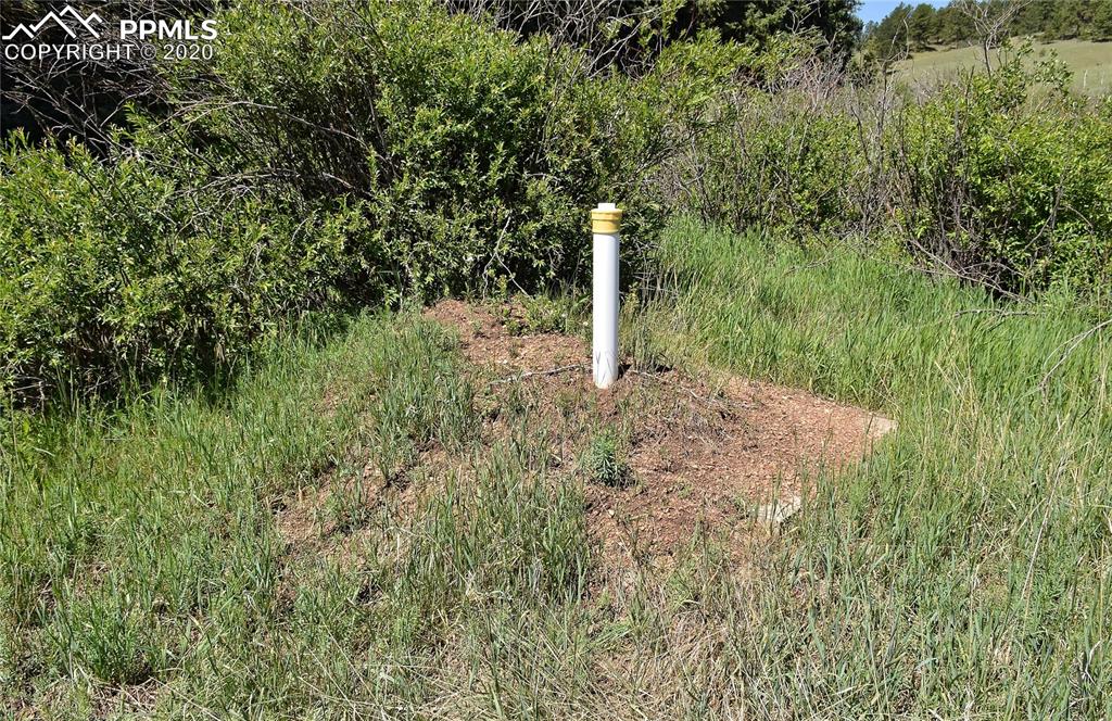 87 Apache Trail Divide, CO 80814 - Photo 6 of 20 Septic system at 87 Apache Trail.