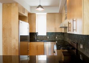 300 Spring Street, Unit 2B Manhattan, NY 10013 - Photo 4 of 6