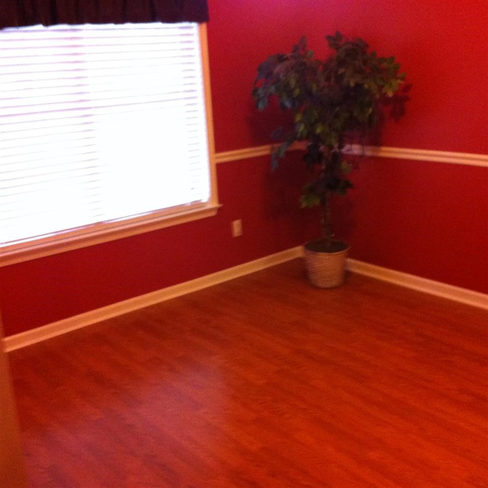 1462 Wolf Ridge Drive Collierville, TN 38017 - Photo 11 of 25