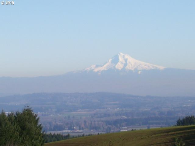 0 Southwest Bald Peak Road, Unit 2 Hillsboro, OR 97123 - Photo 6 of 7 Gallery Image 6