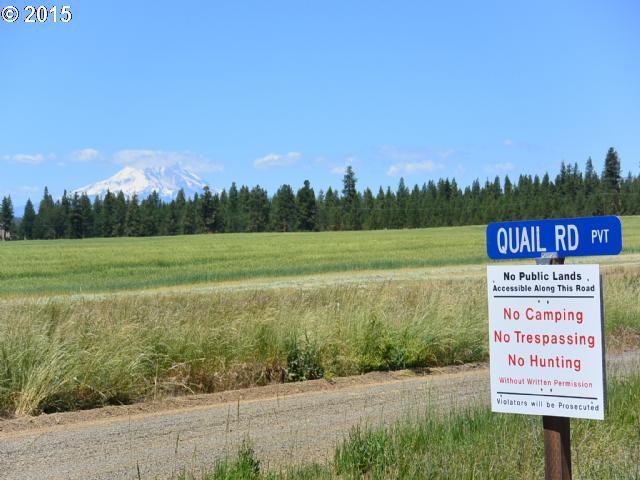 North Harris Road, Unit LOT2 Goldendale, WA 98620 - Photo 1 of 16 Gallery Image 1