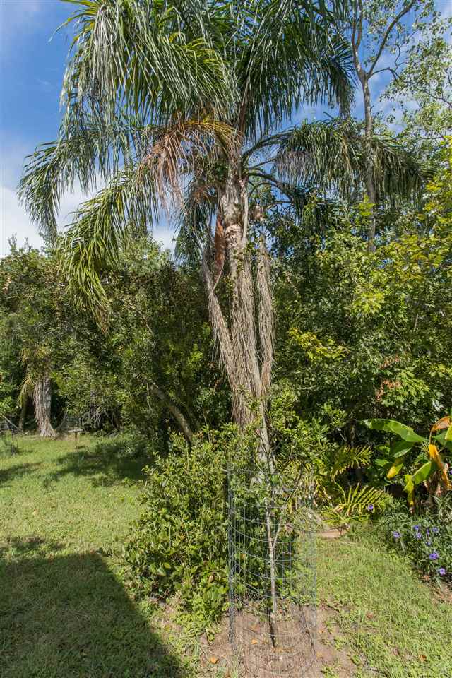 1204 Overdale Road St. Augustine, FL 32080 - Photo 35 of 45 Gallery Image 35