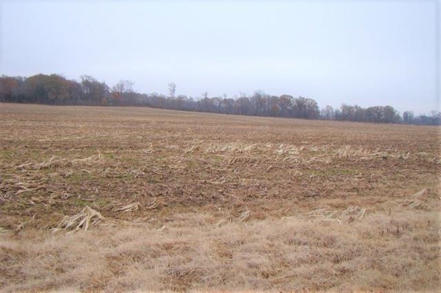 0 Charleston Road Stanton, TN 38068 - Photo 9 of 22 Gallery Image 9