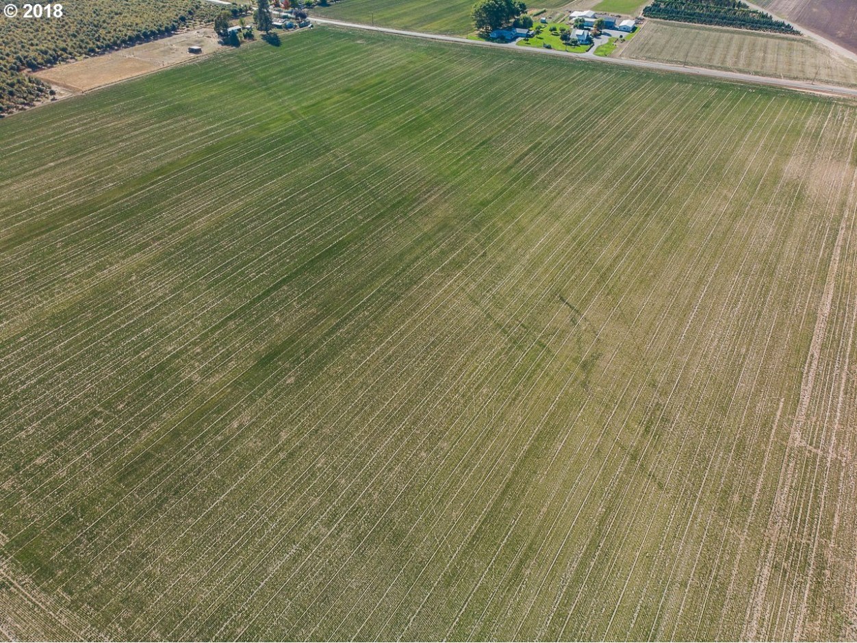 0 South Barlow Road Woodburn, OR 97071 - Photo 5 of 14