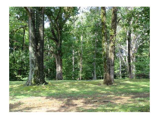 10122 Idaville Road Atoka, TN 38004 - Photo 12 of 12