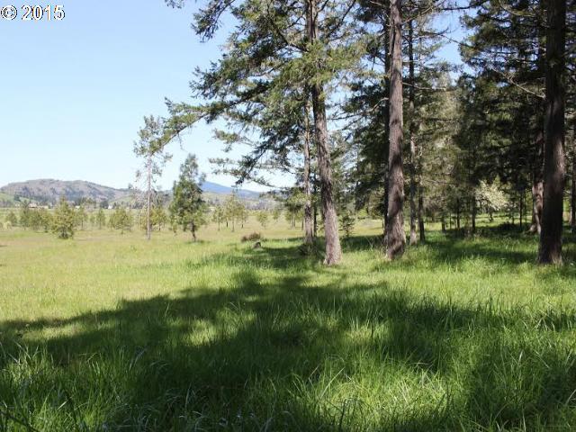 601 Fir Vista Road Sutherlin, OR 97479 - Photo 15 of 16 Gallery Image 15