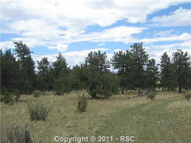 2168 Garfield Road Lake George, CO 80827 - Photo 4 of 7