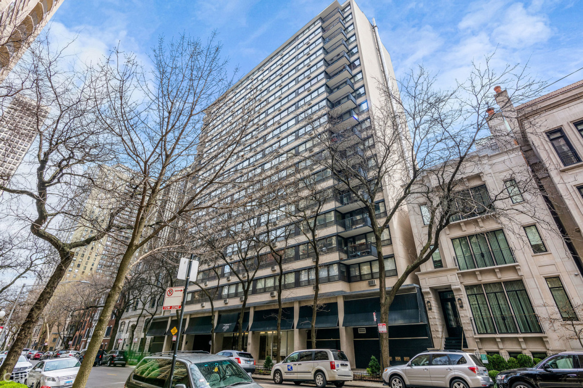 33 E Cedar St, Chicago, IL 60611 - Photo 4 of 13