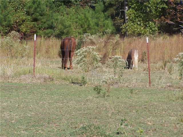 4591 Michie Pebble Hill Road Michie, TN 38357 - Photo 12 of 12 Gallery Image 12