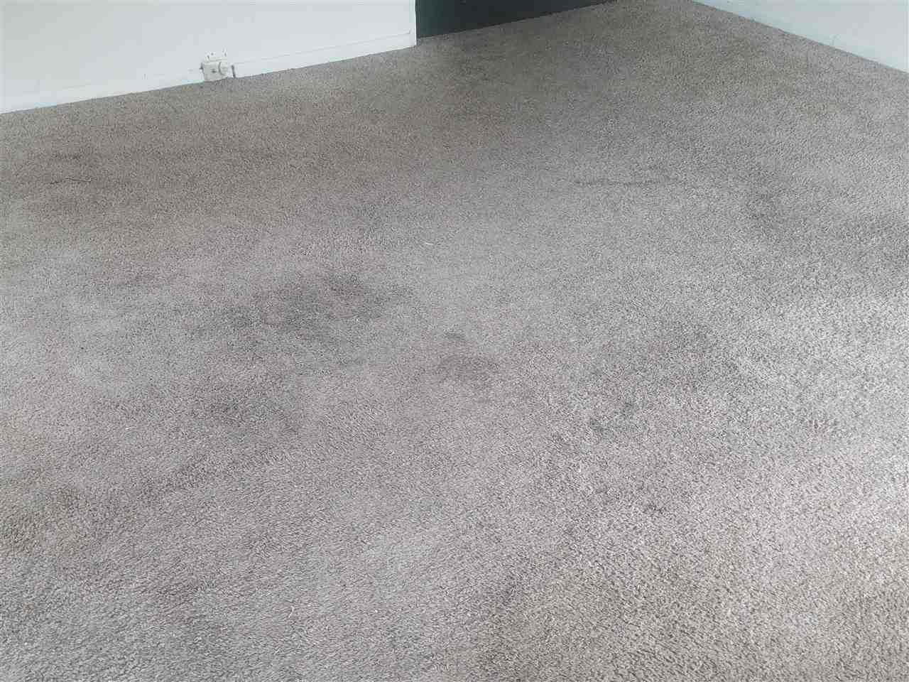 3174 Given Avenue Memphis, TN 38112 - Photo 22 of 25