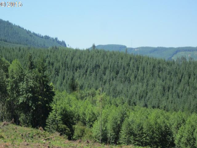 2 Jones Road, Unit 2 Winlock, WA 98596 - Photo 7 of 15