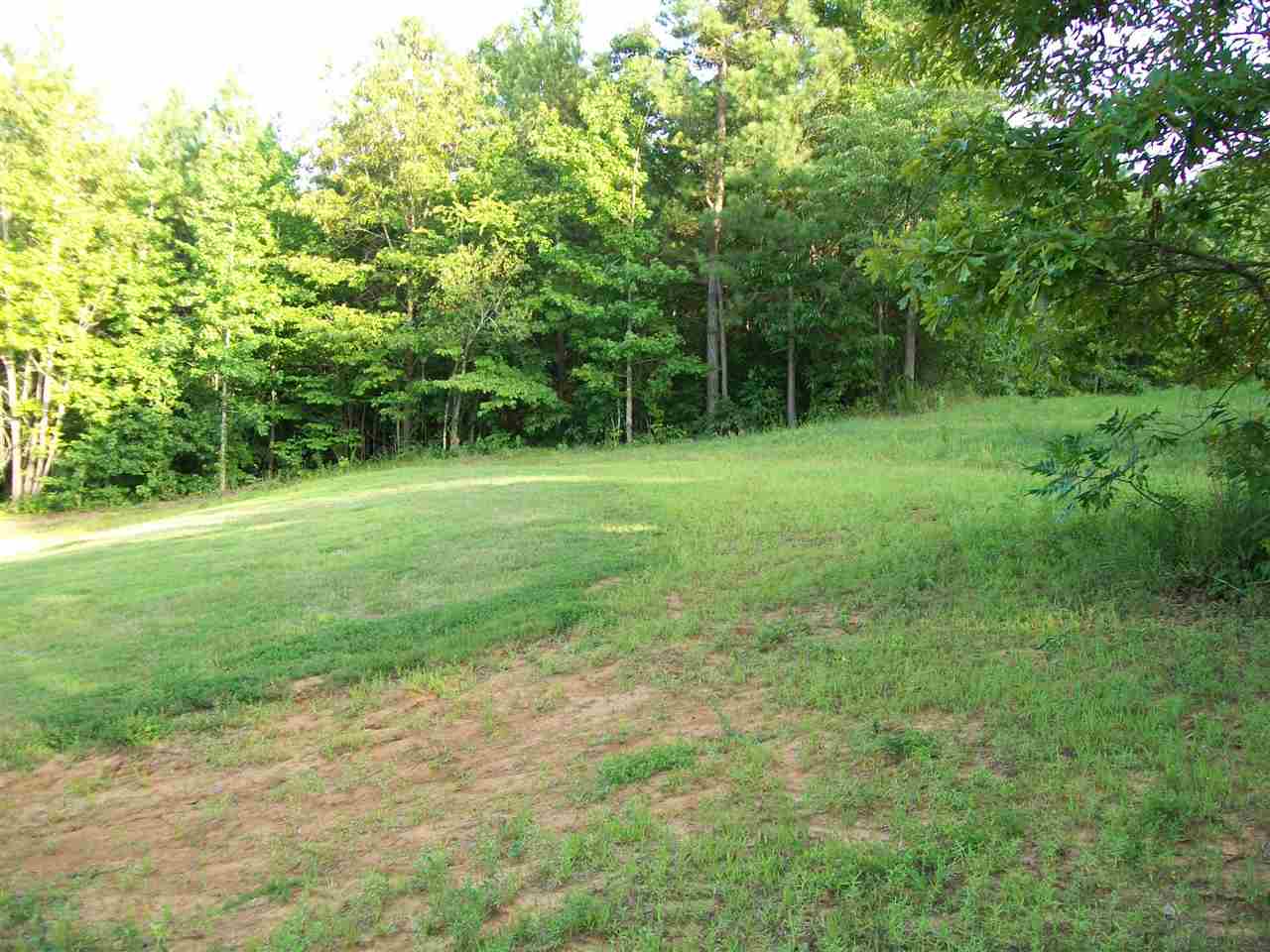 173 McCormick Road Bethel Springs, TN 38315 - Photo 19 of 24 Gallery Image 19