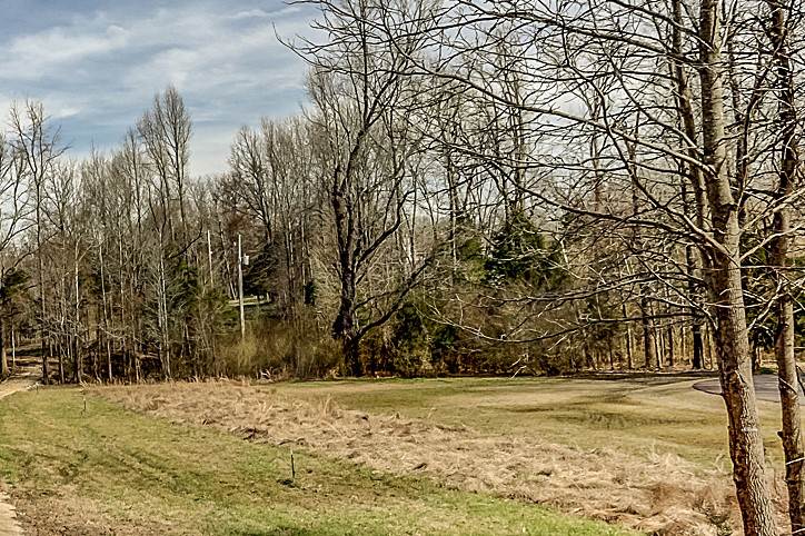 0 Macedonia Road Arlington, TN 38002 - Photo 6 of 7 Gallery Image 6