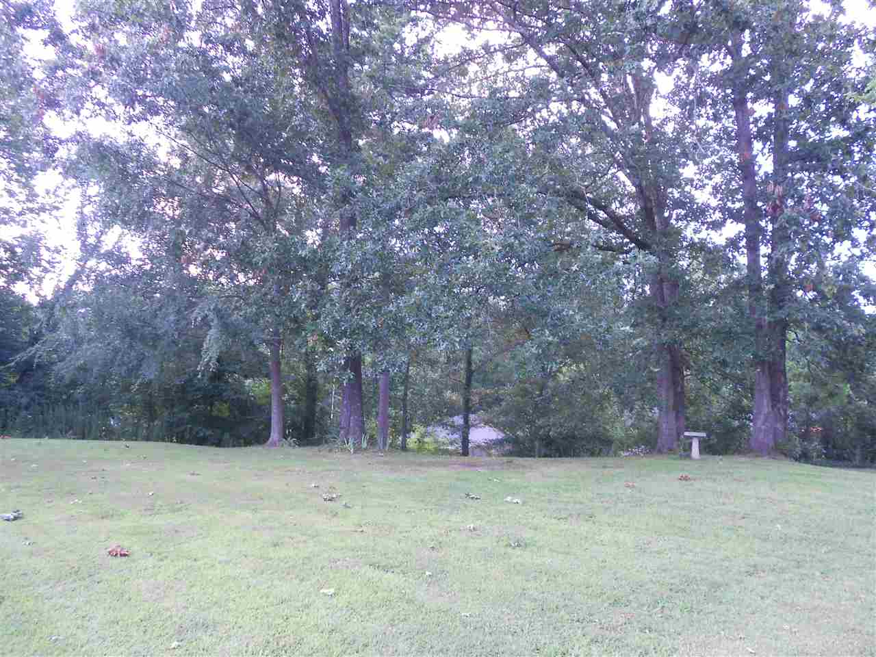 741 Dancer Road Selmer, TN 38375 - Photo 24 of 25 Gallery Image 24