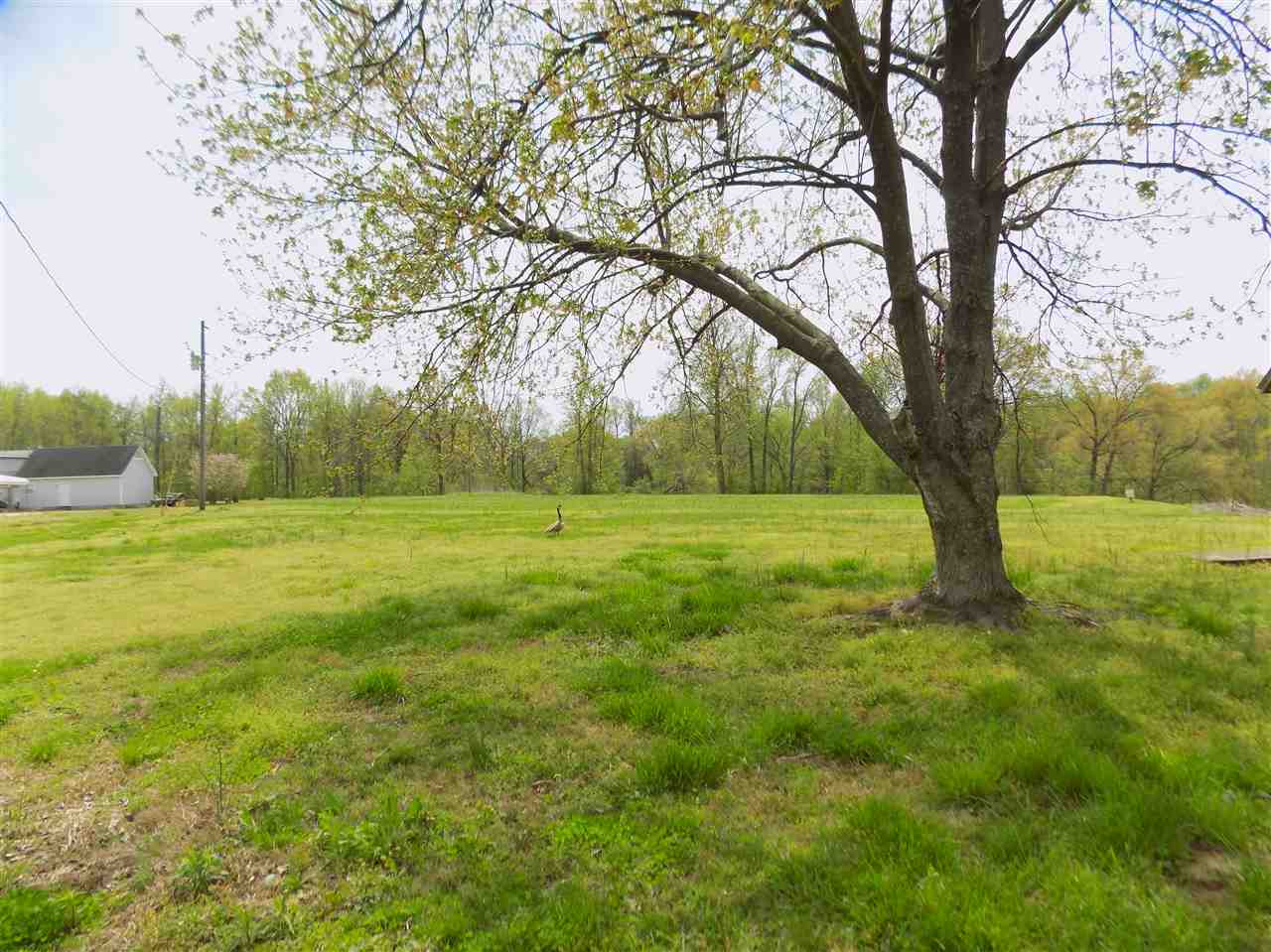 0 Richardson Landing Road Drummonds, TN 38023 - Photo 2 of 9