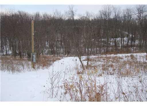 Lee Road Burgettstown, PA 15021 - Photo 4 of 6