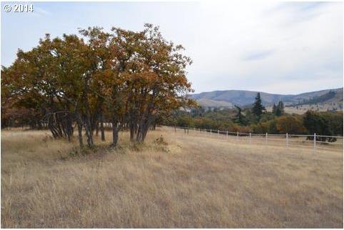 42 Adams View Road Lyle, WA 98635 - Photo 10 of 16 Gallery Image 10