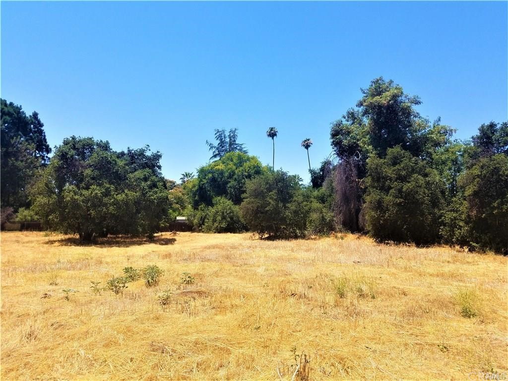 0 North Place Redlands, CA 92373 - Photo 7 of 11