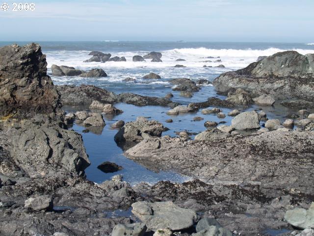 North Chantrelle Lane Gold Beach, OR 97444 - Photo 7 of 16