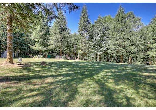 1242 Yale Bridge Road Amboy, WA 98601 - Photo 1 of 16 Gallery Image 1