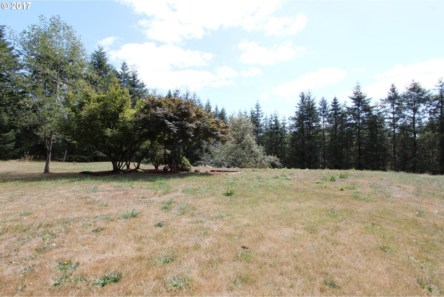 3115 Mt Pleasant Road Kelso, WA 98626 - Photo 13 of 21 Gallery Image 13
