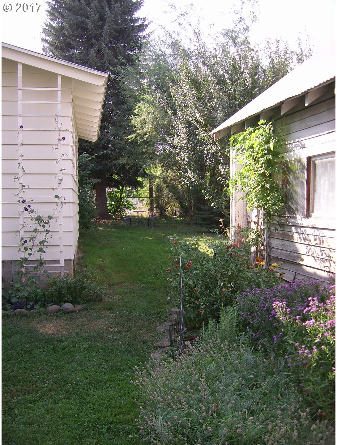 46221 Fish Lake Road Halfway, OR 97834 - Photo 4 of 28 Gallery Image 4