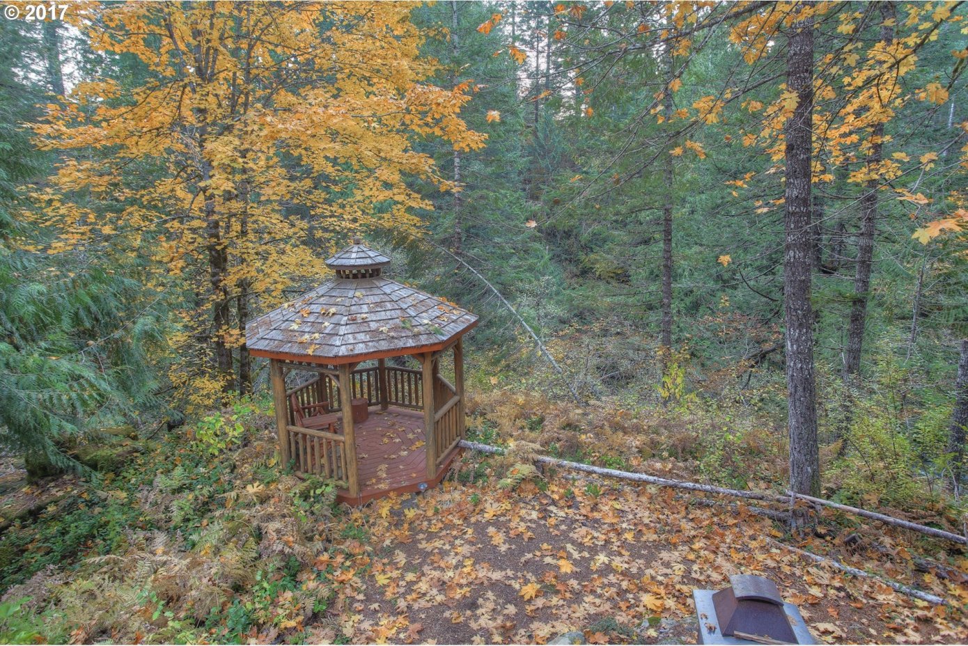 61 Shrum Road Carson, WA 98610 - Photo 11 of 32 Gallery Image 11