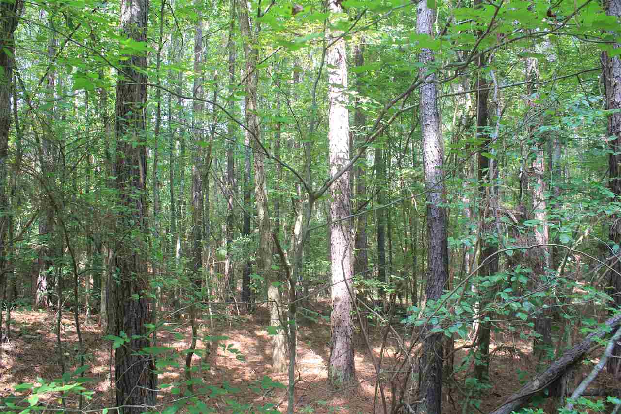 0 Robert Ford Road Waterford, MS 38685 - Photo 4 of 25