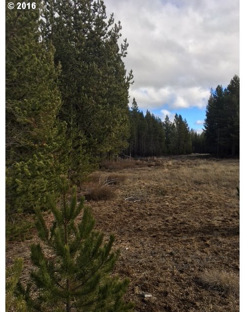 97 Hwy Crescent Crescent, OR 97733 - Photo 1 of 7