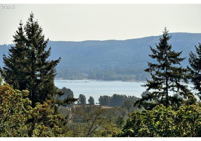 259 Large Road Kalama, WA 98625 - Photo 10 of 23 Gallery Image 10