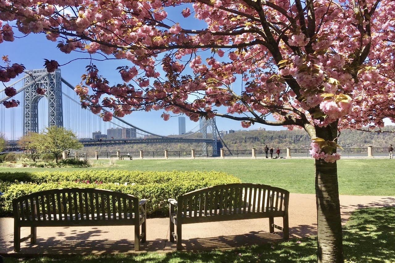 160 Cabrini Boulevard, Unit 121 Manhattan, NY 10033 - Photo 26 of 36