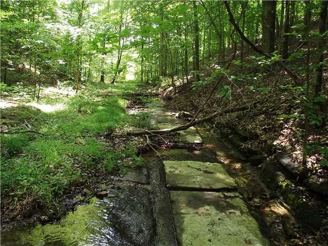 0 Jackson Cemetery Road Hohenwald, TN 38462 - Photo 3 of 8 Gallery Image 3