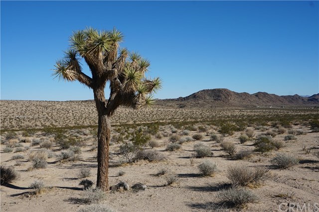 64177 Starlight Road Joshua Tree, CA 92252 - Photo 1 of 1
