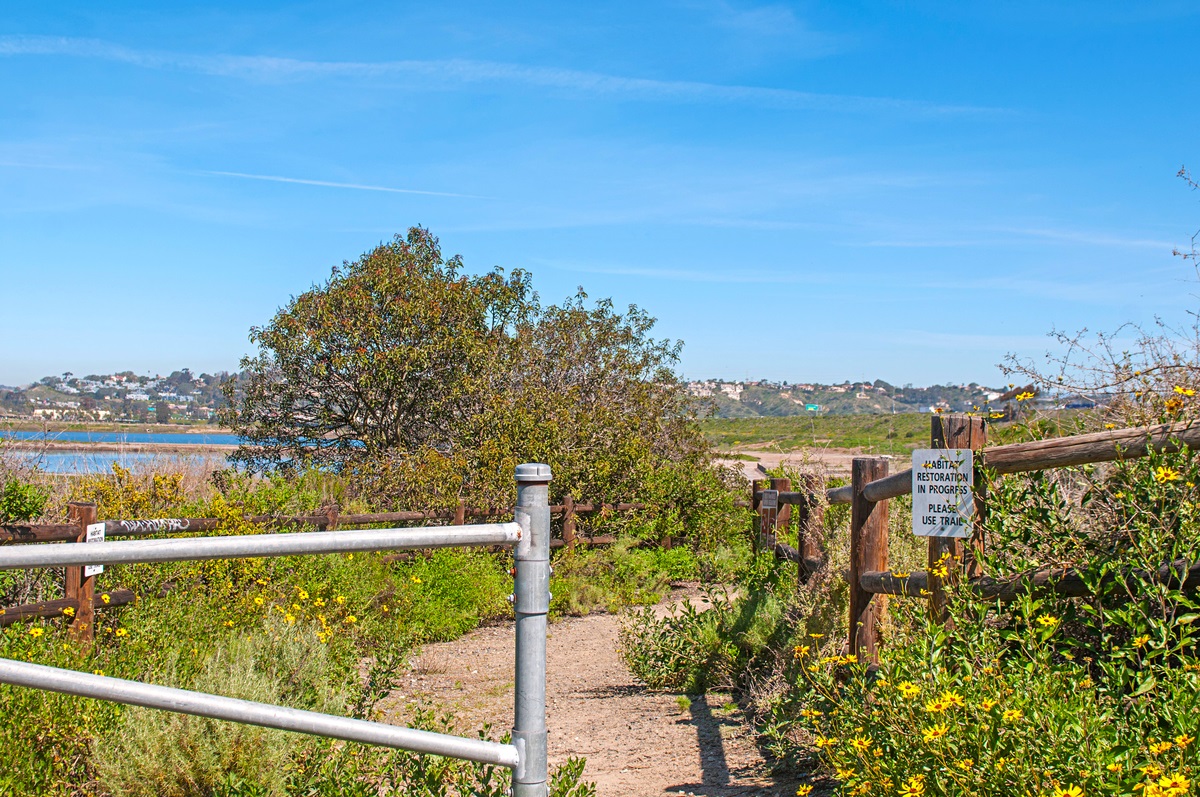 13414 Racetrack View Court Del Mar, CA 92014 - Photo 15 of 16