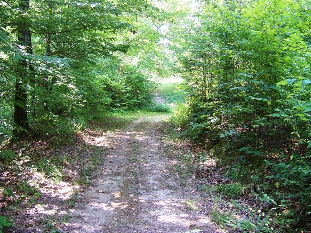 1187 Marvel Road Ashland City, TN 37015 - Photo 22 of 30