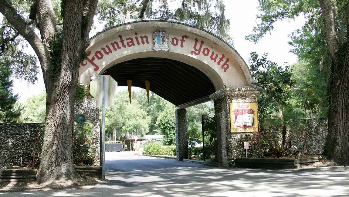 54 Buckley Court St. Augustine, FL 32086 - Photo 24 of 26