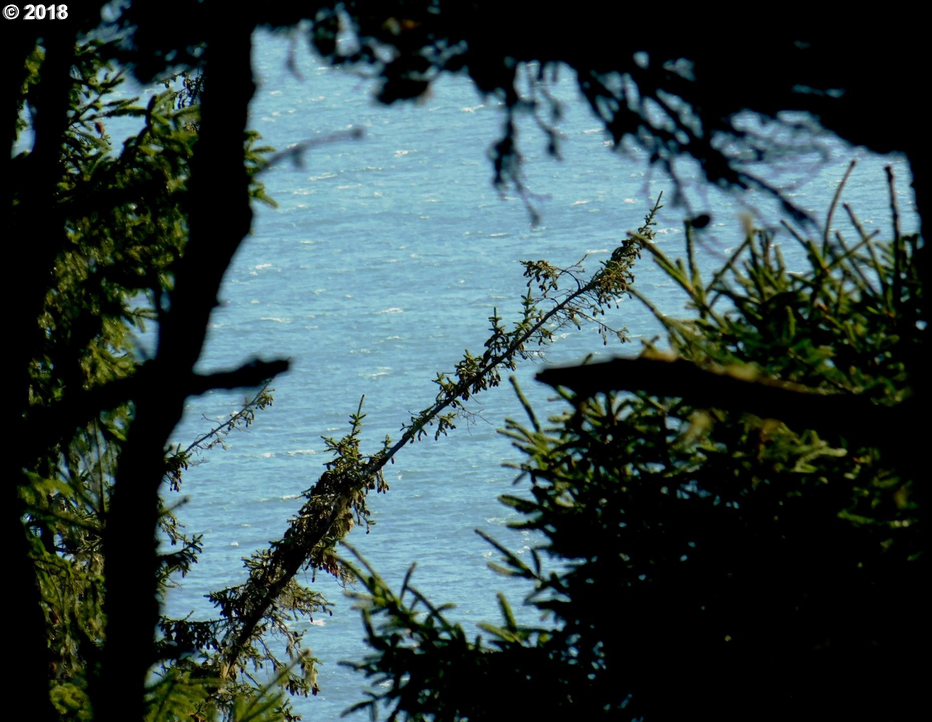 0 Cemetery Loop Road Port Orford, OR 97465 - Photo 10 of 12 Gallery Image 10