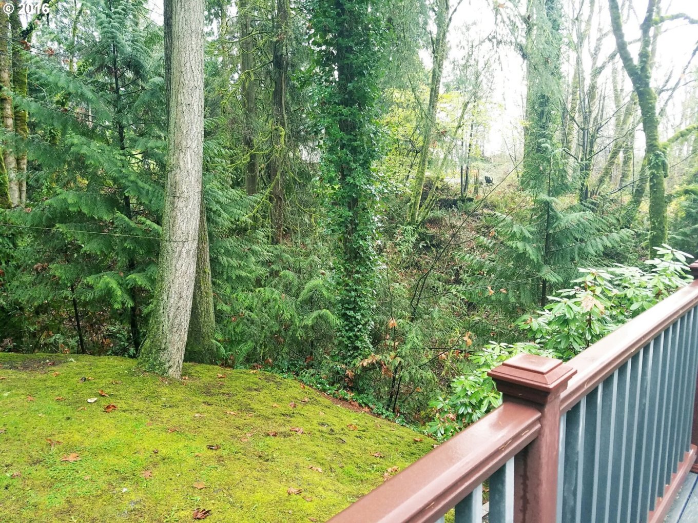 144 Clark Creek Road Longview, WA 98632 - Photo 3 of 17 Gallery Image 3