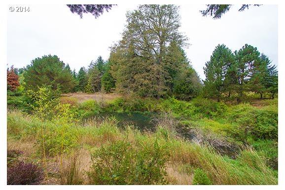 18722 Southeast Richey Road Gresham, OR 97080 - Photo 3 of 16