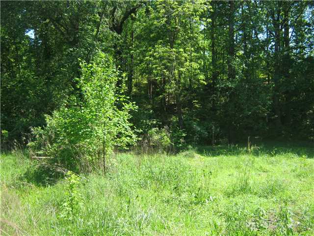 378 White Oak Cemetery Road Ramer, TN 38367 - Photo 5 of 12 Gallery Image 5