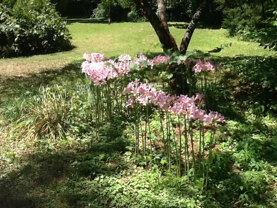 9301 Quito Road Millington, TN 38053 - Photo 10 of 23 Gallery Image 10