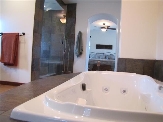 17315 Lyons Creek Road Jamul, CA 91935 - Photo 13 of 25 Spa bath in the master suite